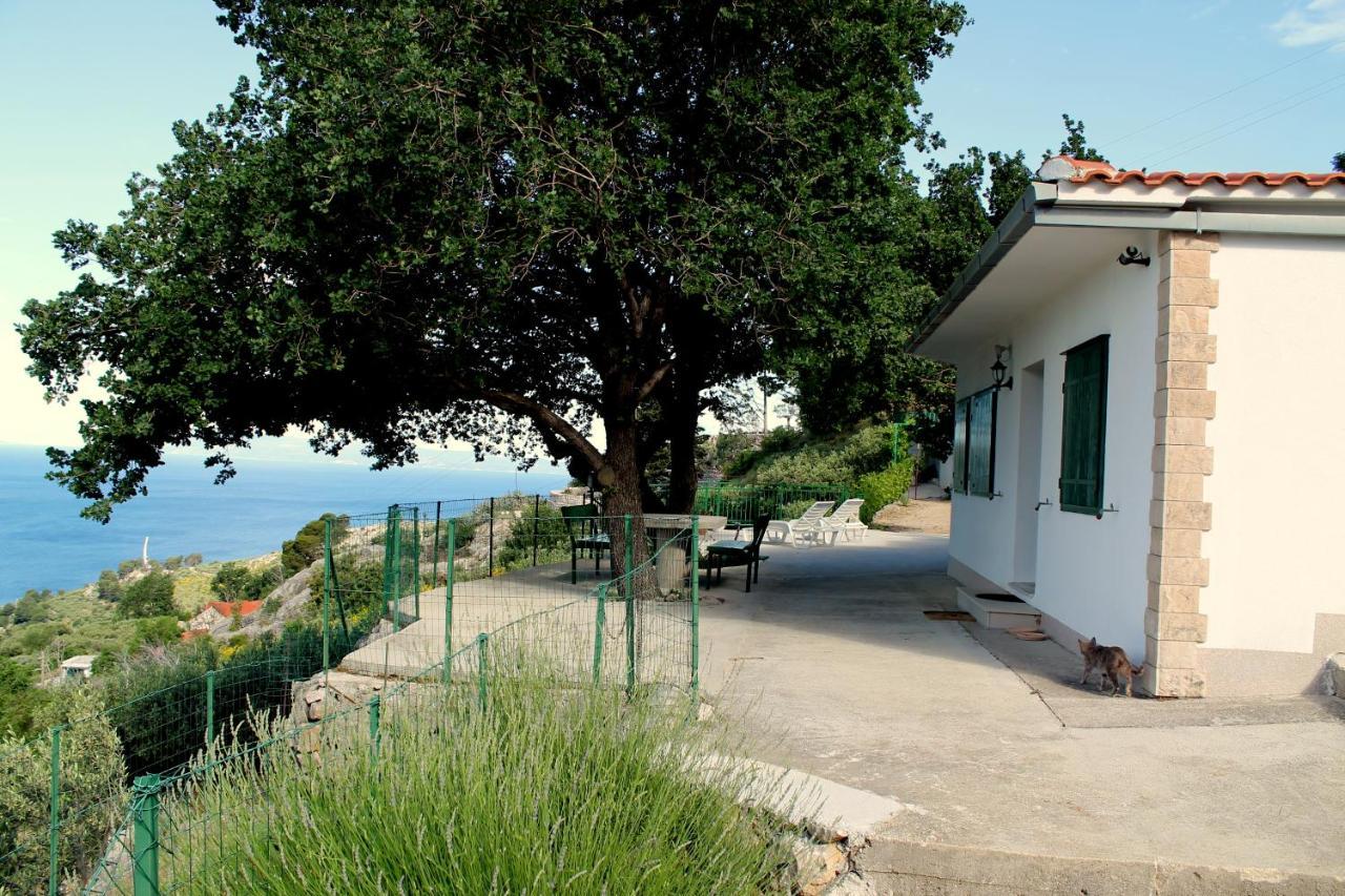 Villa " Davorka" Подгора Экстерьер фото