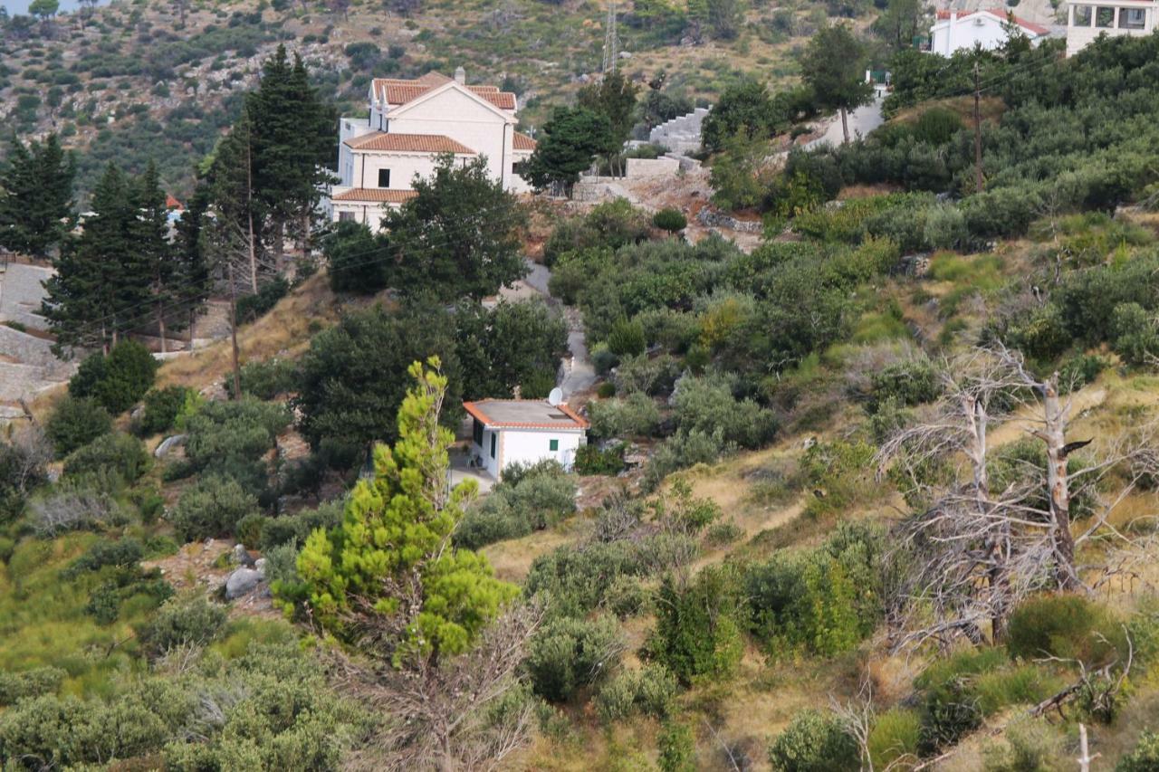 Villa " Davorka" Подгора Экстерьер фото